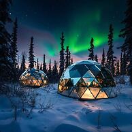 SKOG - Aurora igloos