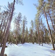 SKOG - Aurora igloos