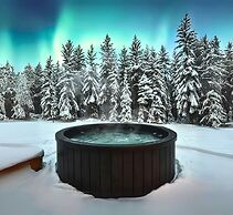 SKOG - Aurora igloos