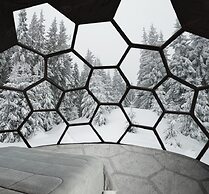 SKOG - Aurora igloos