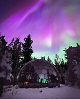 SKOG - Aurora igloos