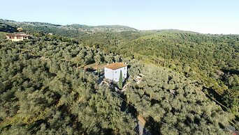 Villa Querciabella in Lucca