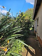 Birchway's Backpackers