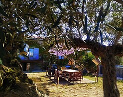 Les Grands Cyprès - chambres d'hôtes, bed and breakfast