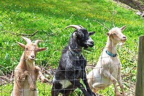 On Farm: Charming Hendersonville Retreat!