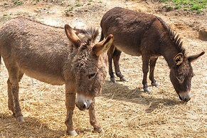 On Farm: Charming Hendersonville Retreat!