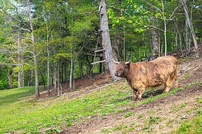 On Farm: Charming Hendersonville Retreat!