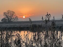 Peacocks Tearoom and Fine B&B