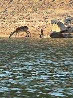 Madrid Oasis Apartment - Modern 2BR