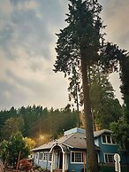 Westfir Lodge & Mountain Market