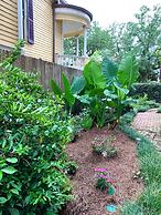 French Quarter Lanaux Mansion B & B