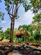 Cabañas la orquídea
