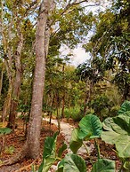 Cabañas la orquídea