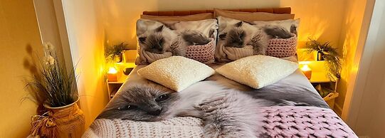 Tandes Apartment in Dundee City