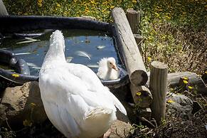 Palagina Il Borgo Agricolo