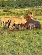 Ripo Wild Safaris