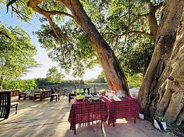Ripo Wild Safaris