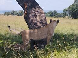 Ripo Wild Safaris
