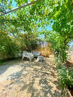 trullideserio di ritson tracey louise