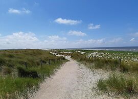 Apartment in Petten Near the Beach