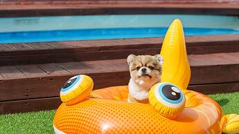 Namhae Elsia Pet Pool Villa Pension