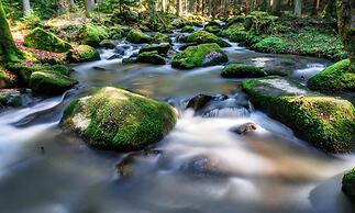 Natur- Wohlfühlhotel Brunner Hof OHG