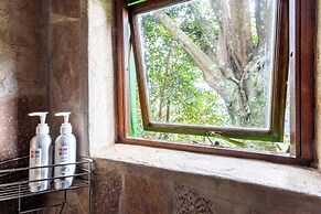 Chameleon Hill Forest Lodge