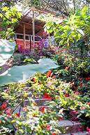 Chameleon Hill Forest Lodge