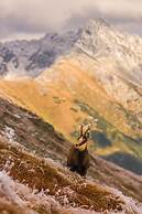 Aparthotel Renesans Zakopane