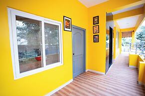 Yellow Bells Signature