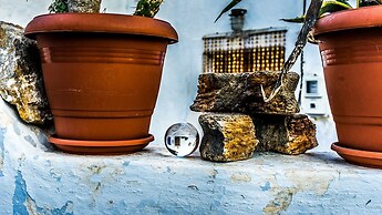 The Commander s Cave