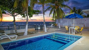 Quinta del Mar El Francés