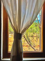 Finca la Patrona By Gestores