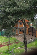 Finca la Patrona By GEstores