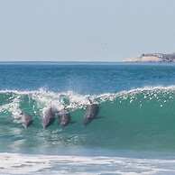 Resid. Clube Mar Grosso-Laguna - LAG706