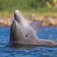 Resid. Clube Mar Grosso-Laguna - LAG208