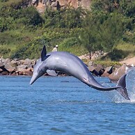 Resid. Clube Mar Grosso-Laguna - LAG604