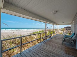 Just for the Shell of It