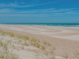 Just for the Shell of It