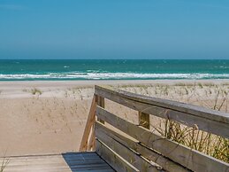 Just for the Shell of It