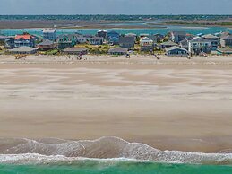 Just for the Shell of It