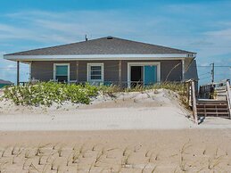 Just for the Shell of It