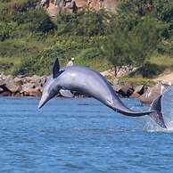 Resid. Clube Mar Grosso-Laguna - LAG801