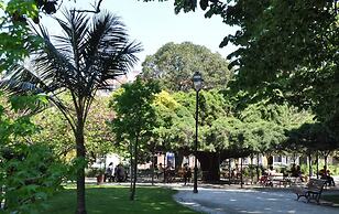 Charming City Center