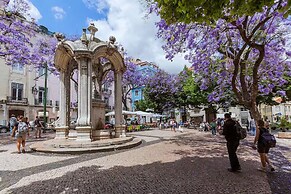 Wooden Top With Terrace