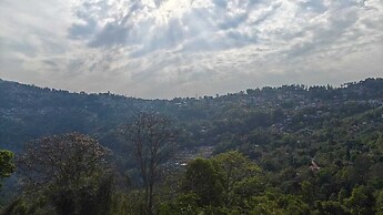 Divyaraa Breathing Stone