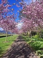 Nature Lovers Family Home - 3 Bed 2 Bath