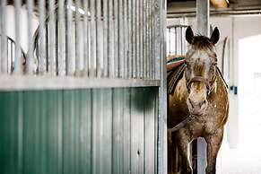 Ferienwohnung Kutscherquartier