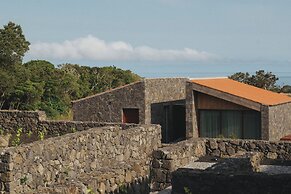 Pico Vineyards