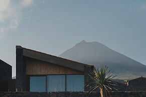 Pico Vineyards